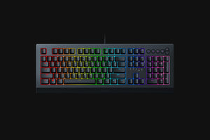 RAZER CYNOSA V2